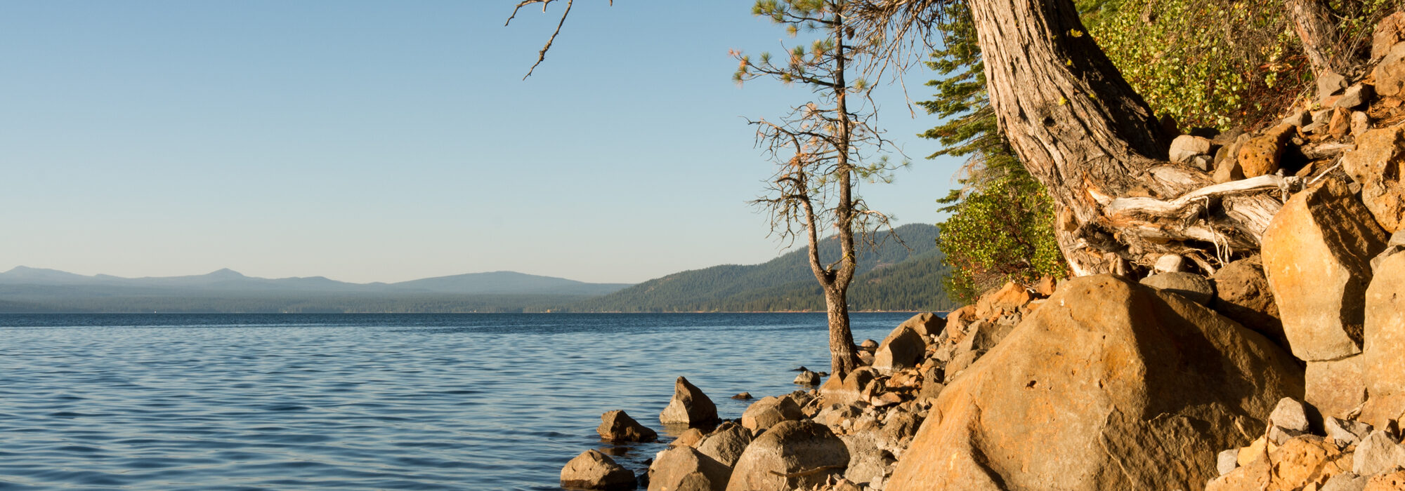 The rocky eastern shoreline of Lake Almanor on a clear morning
