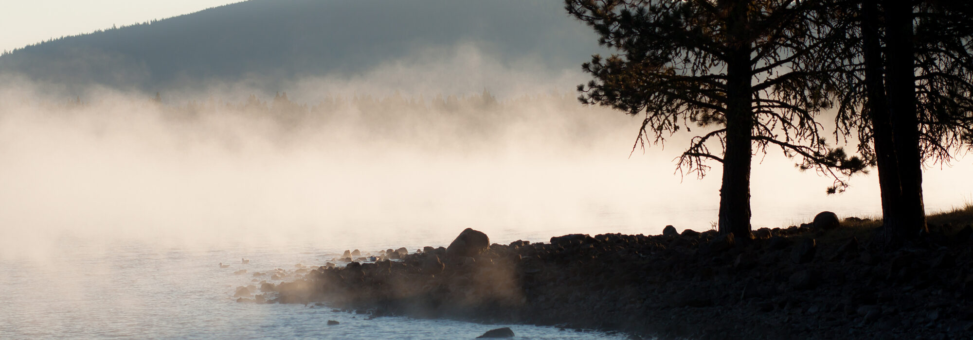 Morning fog drifting across Lake Almanor